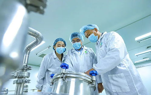 科技赋能张掖农特产品提质增效，植物工厂引领农业现代化